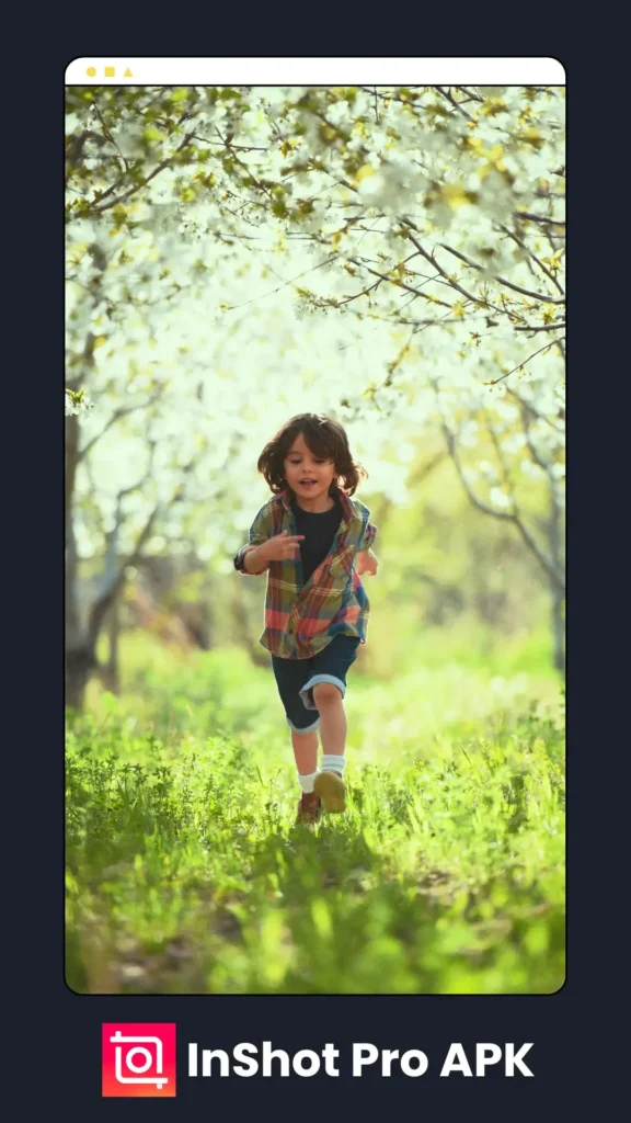 InShot Pro APK Download 7 Edited With Inshot 1 1 1