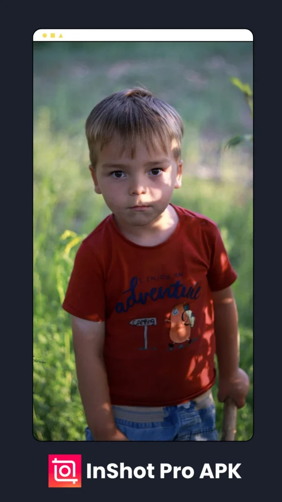 InShot Pro APK Download 4 Edited with Inshot 6 1